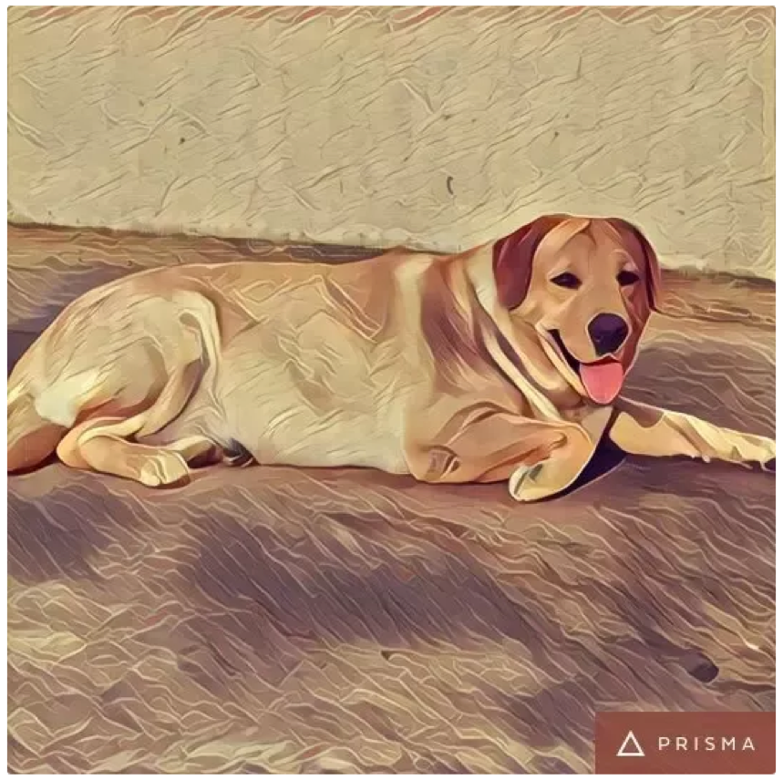 Quora thread showing users sharing their best Prisma photos