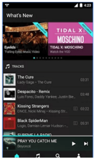 Tidal music streaming app co-owned by Jay Z and Beyonce
