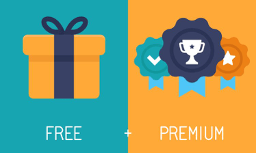 Freemium business model overview diagram