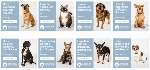 Amanda Foundation pet adoption programmatic advertising creative example
