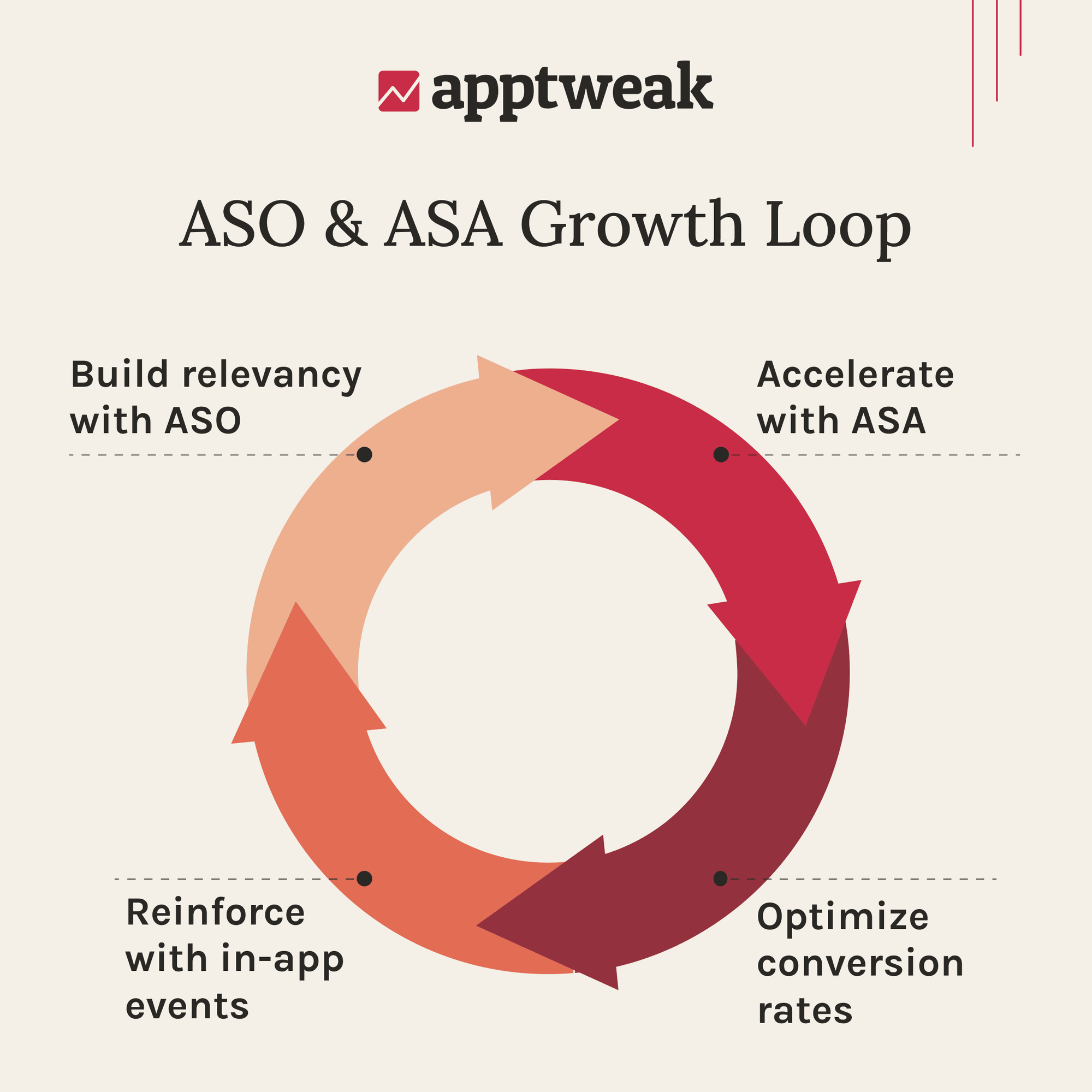 Diagram of the ASO and ASA growth loop cycle