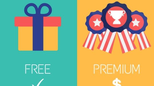 How To Create A Great Freemium Pricing Strategy -