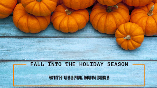 Fall Into The Holiday Season With Useful Numbers -